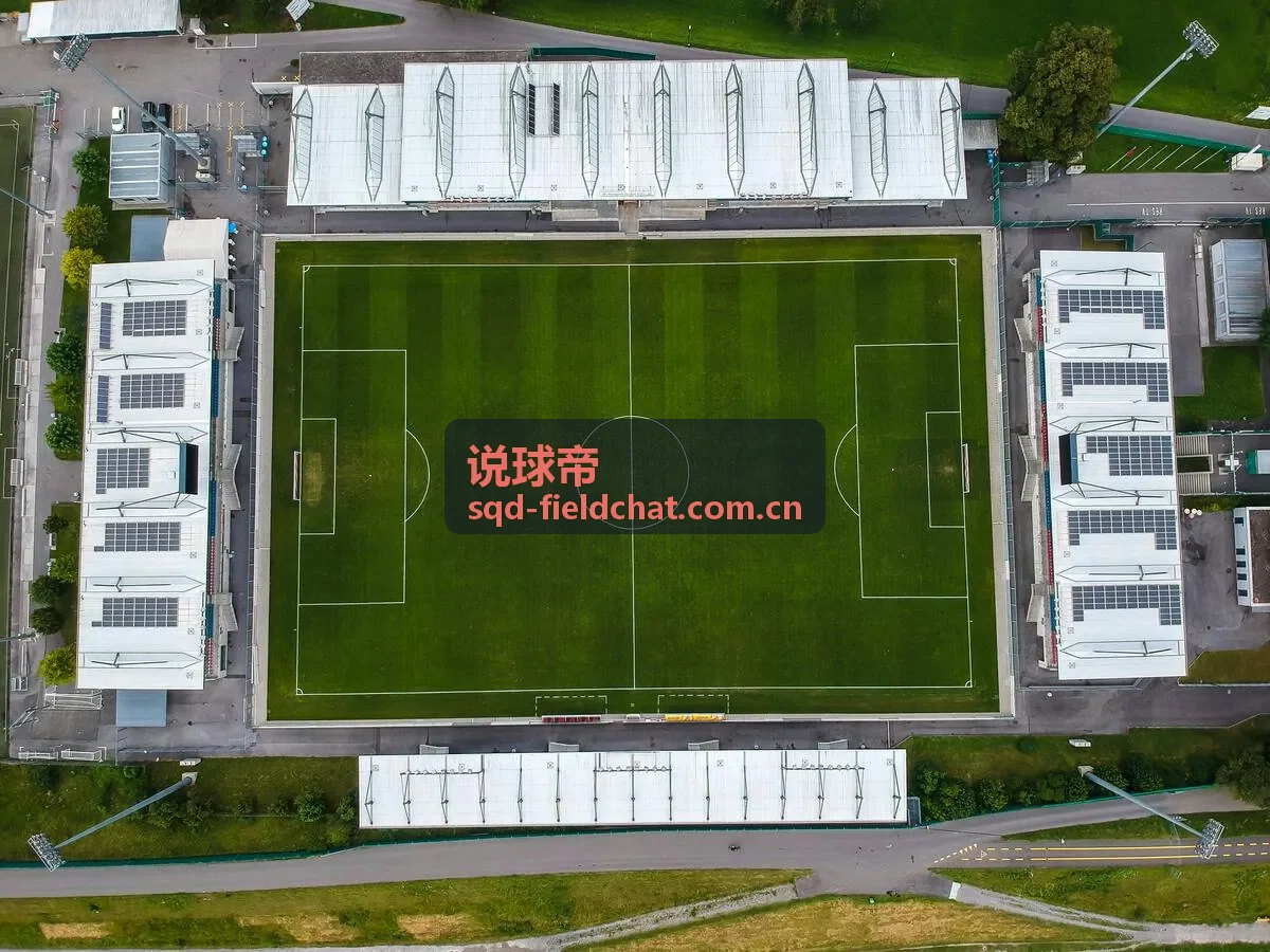 说球帝赛前情报数据交叉验证与分析方法